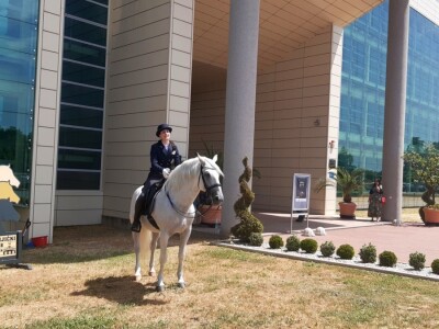 Promocija monografije "Konjički klub Osijek 1959.-2019." Promocija monografije "Konjički klub Osijek 1959.-2019."