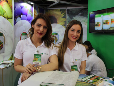 Hostese u Novom Sadu - iz muškog kuta