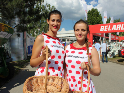 Hostese u Novom Sadu - iz muškog kuta