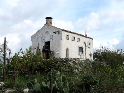 Promoviramo živa vina koja se mijenjaju, ovisno o godini organizatora, Tomislav Brajnović