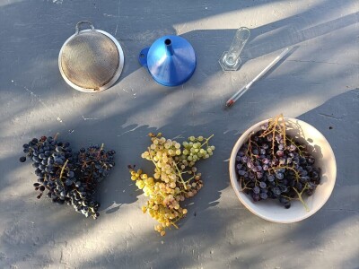 Promoviramo živa vina koja se mijenjaju, ovisno o godini organizatora, Tomislav Brajnović