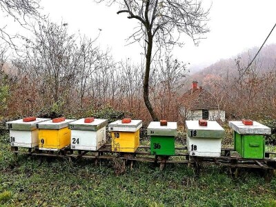 Propolis i Imuno za jačanje organizma