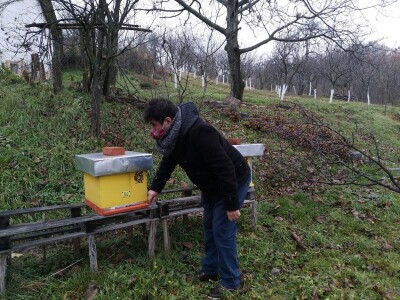 Propolis i Imuno za jačanje organizma