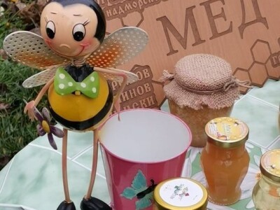 Propolis i Imuno za jačanje organizma