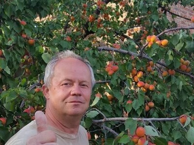 prorijeđivanje jabuka