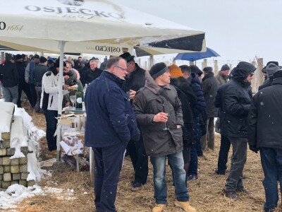 Proslava blagdana svetog Vinka u Mandićevcu Proslava blagdana svetog Vinka u Mandićevcu