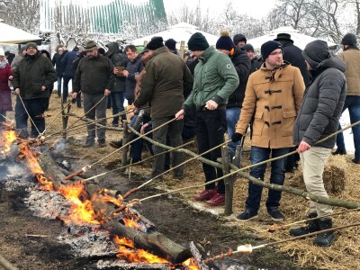 Proslava blagdana svetog Vinka u Mandićevcu Proslava blagdana svetog Vinka u Mandićevcu