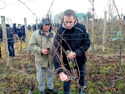 Proslavom sv. Vinka na pokušalištu FAZOS-a započela nova vinogradska godina Proslavom sv. Vinka na pokušalištu FAZOS-a započela nova vinogradska godina