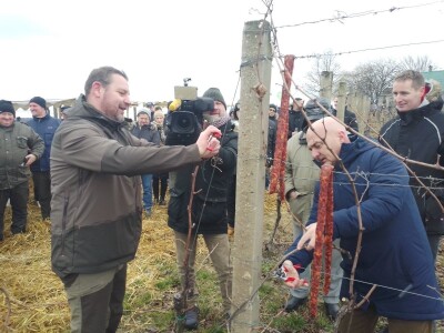 Proslavom sv. Vinka na pokušalištu FAZOS-a započela nova vinogradska godina Proslavom sv. Vinka na pokušalištu FAZOS-a započela nova vinogradska godina