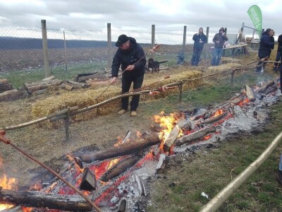 Proslavom sv. Vinka na pokušalištu FAZOS-a započela nova vinogradska godina Proslavom sv. Vinka na pokušalištu FAZOS-a započela nova vinogradska godina