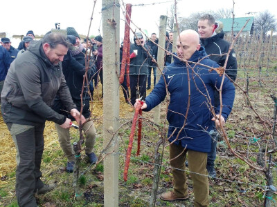 Proslavom sv. Vinka na pokušalištu FAZOS-a započela nova vinogradska godina Proslavom sv. Vinka na pokušalištu FAZOS-a započela nova vinogradska godina