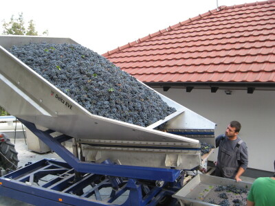 Prošle godine iz Šumadije i Pomoravlja ostvaren je sufiticit od približno 10 miliona evra izvozom agrarnih proizvoda