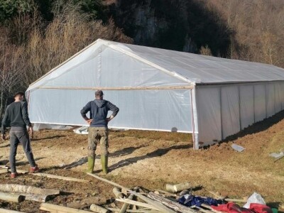 Prošle godine nisam mogla nanijeti povrća, a ove godine sam povećala proizvodnju