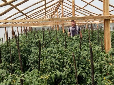 Prošle godine nisam mogla nanijeti povrća, a ove godine sam povećala proizvodnju