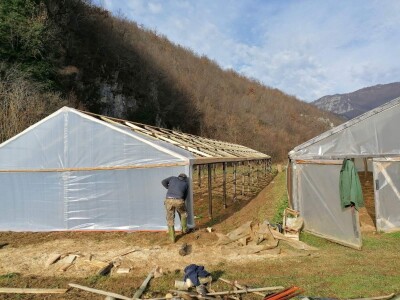 Prošle godine nisam mogla nanijeti povrća, a ove godine sam povećala proizvodnju