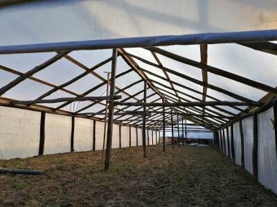 Prošle godine nisam mogla nanijeti povrća, a ove godine sam povećala proizvodnju