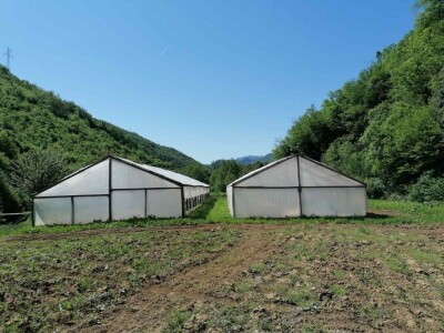 Prošle godine nisam mogla nanijeti povrća, a ove godine sam povećala proizvodnju