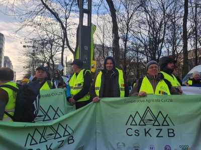 Prosvjed europskih poljoprivrednika u Bruxellesu