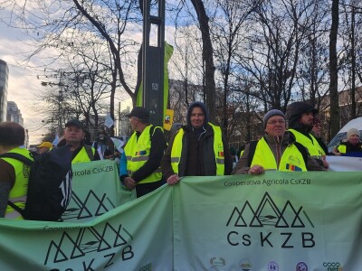 Prosvjed europskih poljoprivrednika u Bruxellesu