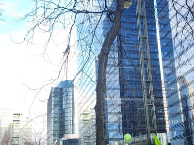 Prosvjed europskih poljoprivrednika u Bruxellesu