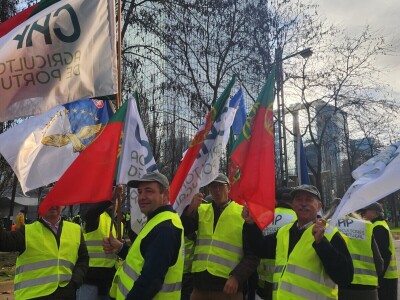 Prosvjed europskih poljoprivrednika u Bruxellesu