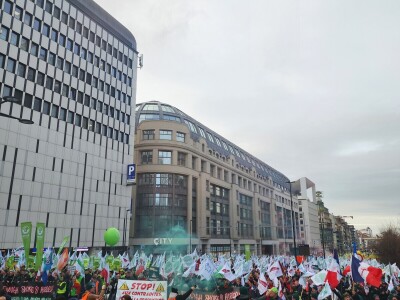 Prosvjed europskih poljoprivrednika u Bruxellesu