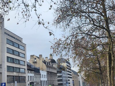 Prosvjed europskih poljoprivrednika u Bruxellesu