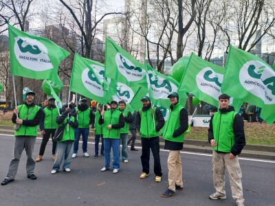 Prosvjed europskih poljoprivrednika u Bruxellesu