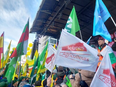 Prosvjed europskih poljoprivrednika u Bruxellesu