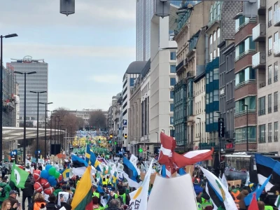 Prosvjed europskih poljoprivrednika u Bruxellesu
