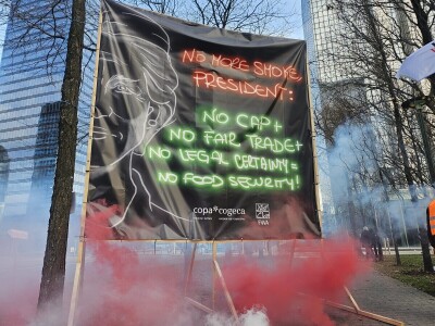 Prosvjed europskih poljoprivrednika u Bruxellesu