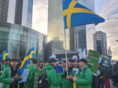 Prosvjed europskih poljoprivrednika u Bruxellesu