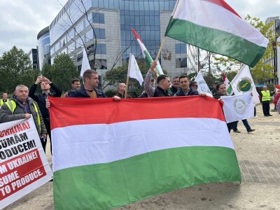 Prosvjed u Bruxellesu