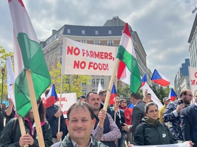 Prosvjed u Bruxellesu