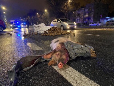 Prosvjedi u Poljskoj