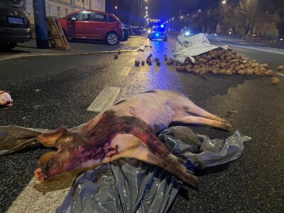 Prosvjedi u Poljskoj