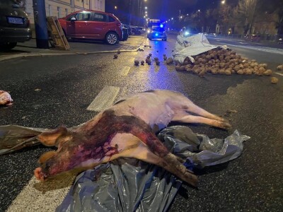 Prosvjedi u Poljskoj