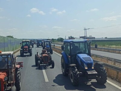 Protest Stig, Požarevac
