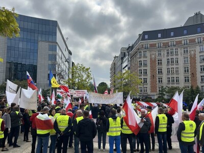Protest u Bruxellesu