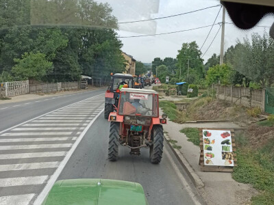Protesti udruženja Stig u Požarevcu