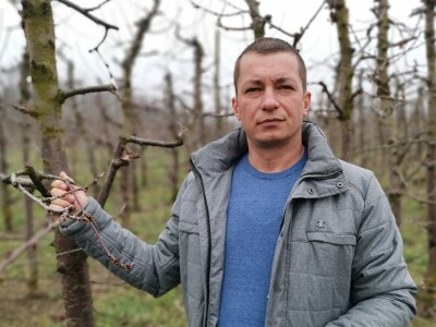 Zasadi trešnje Zasadi trešnje