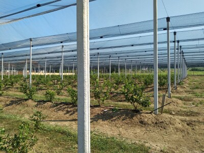 Protivgradna i padajuća mreža