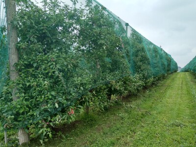 Protivgradna i padajuća mreža