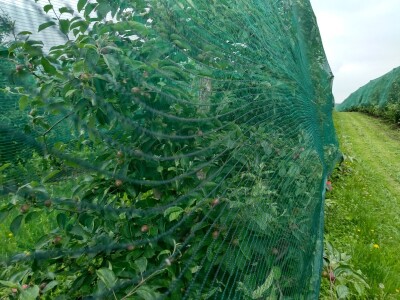 Protivgradna i padajuća mreža