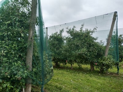 Protivgradna i padajuća mreža