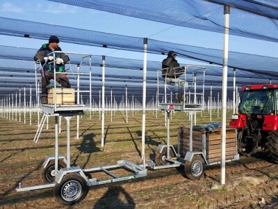 Protivgradna mreža u Gruži Protivgradna mreža u Gruži