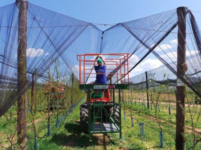 Protivgradna mreža u Gruži Protivgradna mreža u Gruži