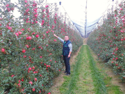 Protivgradna mreža u Gruži Protivgradna mreža u Gruži