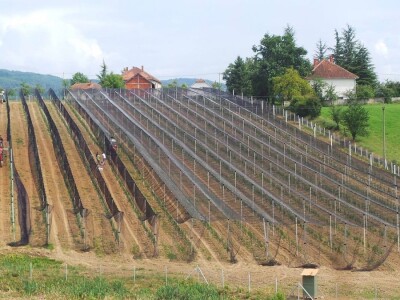 Protivgradna mreža u Gruži Protivgradna mreža u Gruži