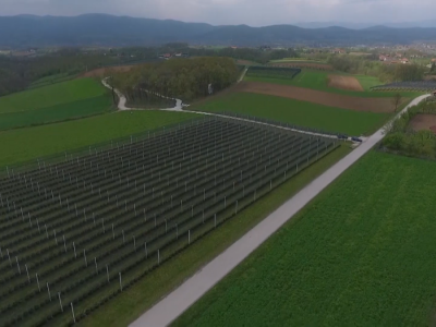 Protivgradne mreže u bojama